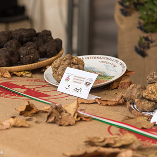 Il Centro Nazionale Studi Tartufo collaborerà con La Fiera Internazionale del tartufo bianco di Morisengo (credito Debora Lombardi) Il Centro Nazionale Studi Tartufo collaborerà con La Fiera Internazionale del tartufo bianco di Morisengo (credito Debora Lombardi)