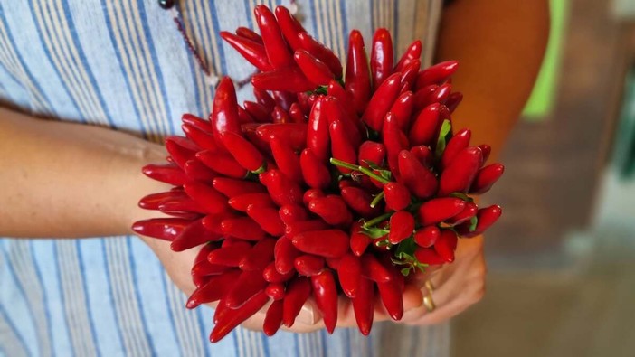 Tutti i benefici del peperoncino: piccante e salutare