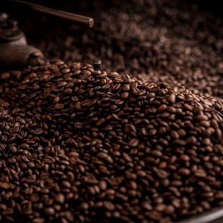 Il ciclo di vita del caffè: dalla coltivazione al bancone del bar