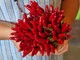 Tutti i benefici del peperoncino: piccante e salutare
