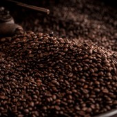Il ciclo di vita del caffè: dalla coltivazione al bancone del bar