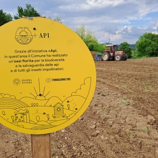 Con il progetto +Api  a Piozzo: un’oasi fiorita per la biodiversità