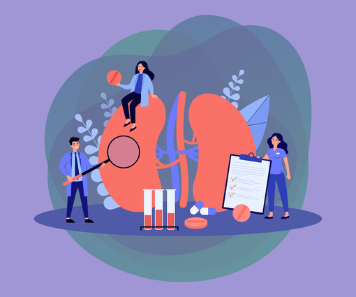 Giornata Mondiale del Rene: screening gratuiti a Verduno, Alba e Bra