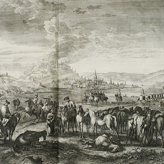 Immagine tratta da Wikipedia