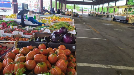 Mercato ambulante del sabato: Alba riparte con alimentari, fiori e piante  in attesa della riapertura totale