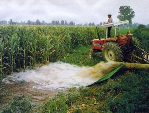 Siccità e riordino irriguo, Confagricoltura Piemonte: "Servono risposte all'emergenza e un piano strutturale per l'acqua" Siccità e riordino irriguo, Confagricoltura Piemonte: "Servono risposte all'emergenza e un piano strutturale per l'acqua"
