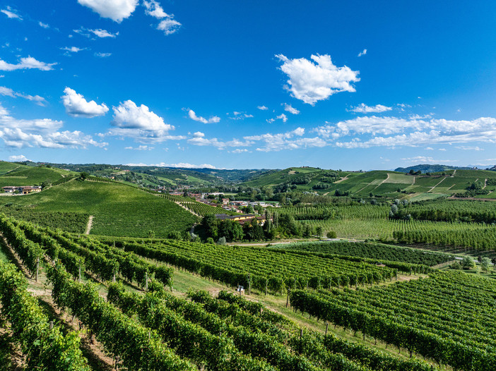 Una veduta delle colline che circondano Grinzane Cavour, nelle Langhe (Archivio Paesaggi Vitivinicoli - Lavezzo Studios) Una veduta delle colline che circondano Grinzane Cavour, nelle Langhe (Archivio Paesaggi Vitivinicoli - Lavezzo Studios)