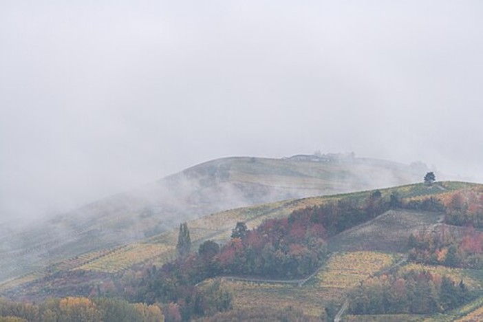 Le colline di Grinzane di Cavour