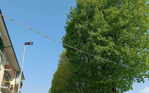 Saluzzo, l'alberata di via Fiume