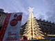 Albero di Natale in piazza galimberti a Cuneo