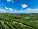 Una veduta delle colline che circondano Grinzane Cavour, nelle Langhe (Archivio Paesaggi Vitivinicoli - Lavezzo Studios) Una veduta delle colline che circondano Grinzane Cavour, nelle Langhe (Archivio Paesaggi Vitivinicoli - Lavezzo Studios)