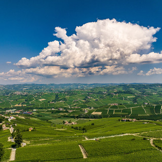 Le Langhe del Barolo Le Langhe del Barolo