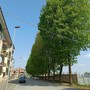 Saluzzo, l'alberata di via Fiume Saluzzo, l'alberata di via Fiume