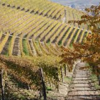 Fi, fija, fjà: enigmi del langhetto all’Università dell’Alta Langa Fi, fija, fjà: enigmi del langhetto all’Università dell’Alta Langa