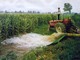 Siccità e riordino irriguo, Confagricoltura Piemonte: "Servono risposte all'emergenza e un piano strutturale per l'acqua" Siccità e riordino irriguo, Confagricoltura Piemonte: "Servono risposte all'emergenza e un piano strutturale per l'acqua"