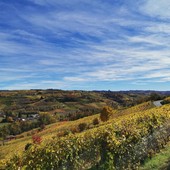 L'autunno colora i vigneti delle Langhe L'autunno colora i vigneti delle Langhe