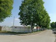 L'alberata di via Trento L'alberata di via Trento