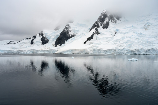 Cuneo, al Cinema Monviso la conferenza di Pro Natura "Antartide, rotta verso il Sud" Cuneo, al Cinema Monviso la conferenza di Pro Natura "Antartide, rotta verso il Sud"