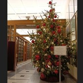 L'albero di Natale donato dalla Walden posto a Montecitorio a Palazzo San Macuto, dalla Biblioteca della Camera dei Deputati, per tutta la durata delle feste L'albero di Natale donato dalla Walden posto a Montecitorio a Palazzo San Macuto, dalla Biblioteca della Camera dei Deputati, per tutta la durata delle feste