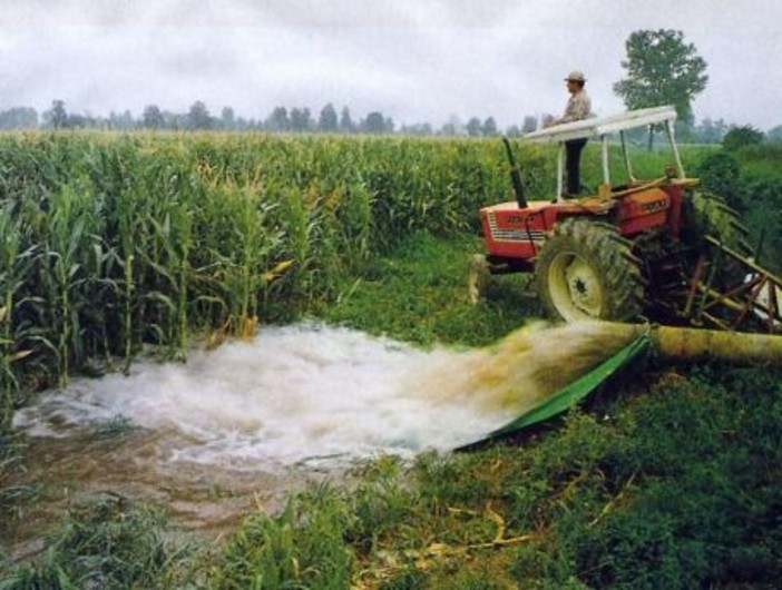 Siccità e riordino irriguo, Confagricoltura Piemonte: "Servono risposte all'emergenza e un piano strutturale per l'acqua" Siccità e riordino irriguo, Confagricoltura Piemonte: "Servono risposte all'emergenza e un piano strutturale per l'acqua"