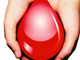 Avis provinciale Cuneo: appello per la donazione di sangue