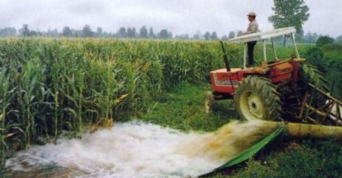 Siccità e riordino irriguo, Confagricoltura Piemonte: "Servono risposte all'emergenza e un piano strutturale per l'acqua" Siccità e riordino irriguo, Confagricoltura Piemonte: "Servono risposte all'emergenza e un piano strutturale per l'acqua"