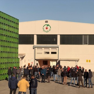 A Lagnasco Asprofrut celebra 55 anni di cooperazione e innovazione al servizio della frutticoltura piemontese A Lagnasco Asprofrut celebra 55 anni di cooperazione e innovazione al servizio della frutticoltura piemontese
