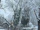 Nevicata, qualche disagio in città: albero cade sulla carreggiata in via Vecchia di Borgo [FOTO]