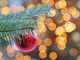 Un &quot;sorriso condiviso&quot; da mettere  sotto l'albero di Natale dello Zonta Cuneo