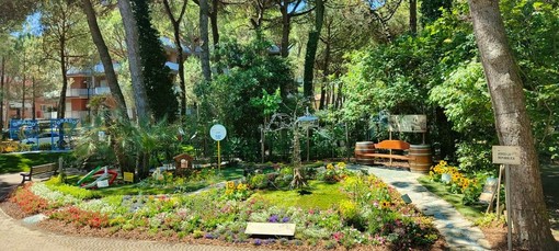 Alba fiorisce a Cervia: l’“Albero della Libertà” per gli 80 anni della Repubblica Alba fiorisce a Cervia: l’“Albero della Libertà” per gli 80 anni della Repubblica