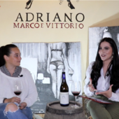 Younger Wine: nella seconda puntata protagonista è l'Azienda Adriano Marco e Vittorio a San Rocco seno d'Elvio