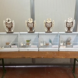 Una foto di repertorio dell'Associazione Ornitologica Cuneese