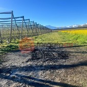 Il luogo del ritrovamento