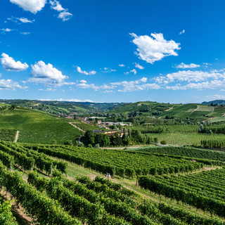 Una veduta delle colline che circondano Grinzane Cavour, nelle Langhe (Archivio Paesaggi Vitivinicoli - Lavezzo Studios) Una veduta delle colline che circondano Grinzane Cavour, nelle Langhe (Archivio Paesaggi Vitivinicoli - Lavezzo Studios)