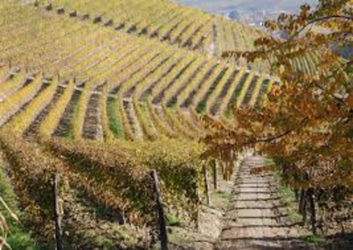 Fi, fija, fjà: enigmi del langhetto all’Università dell’Alta Langa