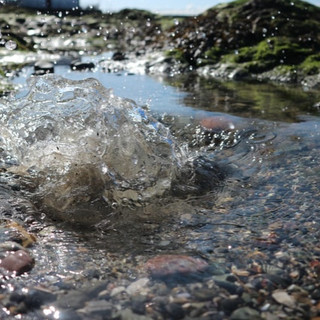 Immagine di repertorio