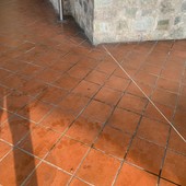 Le immagini testimoniano i fatti segnalati dal consigliere di Uniti per Alba Alberto Gatto