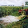 Siccità e riordino irriguo, Confagricoltura Piemonte: "Servono risposte all'emergenza e un piano strutturale per l'acqua" Siccità e riordino irriguo, Confagricoltura Piemonte: "Servono risposte all'emergenza e un piano strutturale per l'acqua"