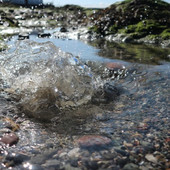 Immagine di repertorio