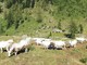 Nuovi lavori nelle aree alpine, presentazione del corso Agenform a Cheese