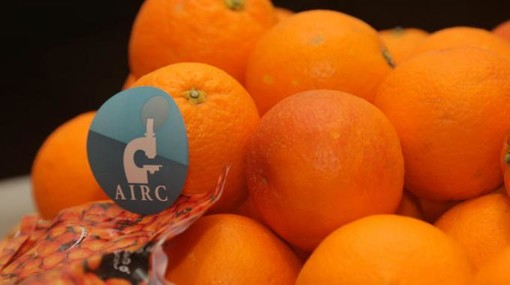 Le arance della salute di AIRC sabato 28 gennaio anche a Fossano