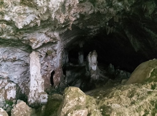 Progetto “Ratti della fornace”, ad Alto un'escursione nell'entroterra per adulti e bambini