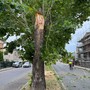 I danni del temporale che ha colpito Alba e le Langhe nei giorni scorsi I danni del temporale che ha colpito Alba e le Langhe nei giorni scorsi
