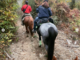 Un passaggio in terra ligure per Anna Maria Bosshard ed i suoi cavalli (Foto profilo IG)