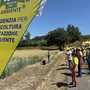 Biologico, il Cebano fa scuola: 19mila ettari e mille operatori in crescita Biologico, il Cebano fa scuola: 19mila ettari e mille operatori in crescita