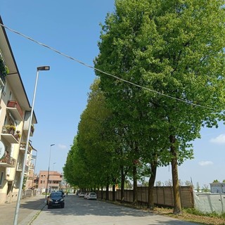 Saluzzo, l'alberata di via Fiume