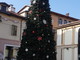 Saluzzo, l'albero di Natale 2020 in piazza Vineis