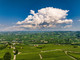 Le Langhe del Barolo Le Langhe del Barolo