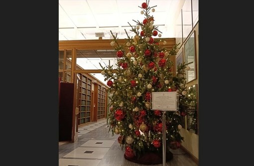 L'albero di Natale donato dalla Walden posto a Montecitorio a Palazzo San Macuto, dalla Biblioteca della Camera dei Deputati, per tutta la durata delle feste L'albero di Natale donato dalla Walden posto a Montecitorio a Palazzo San Macuto, dalla Biblioteca della Camera dei Deputati, per tutta la durata delle feste