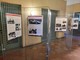 La mostra a Piasco (Immagine di repertorio) La mostra a Piasco (Immagine di repertorio)